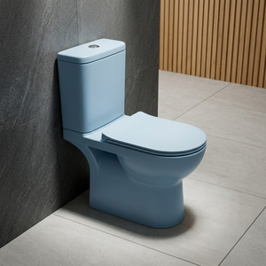 WC monobloc bleu clair finition mate, chasse d'eau par le haut, en céramique, à poser au sol - Product Image 5