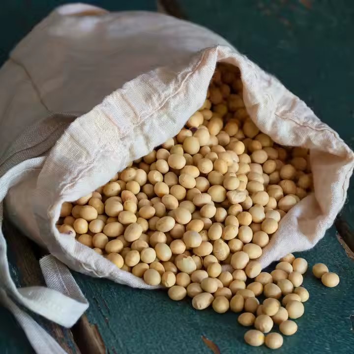 Buy Good Quality Soy Beans Raw Soybean Grain in Bags Organic Bulk Soybean Seeds for Food and Industrial Usage Cheap Price