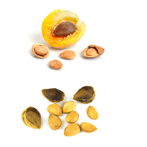 Apricot Kernel | เกรดสูงสำหรับแบรนด์สกินแคร์ออร์แกนิก - Product Image 4