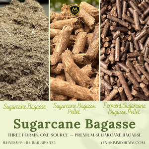 เม็ดชานอ้อยสำหรับอาหารสัตว์ - Product Image 5