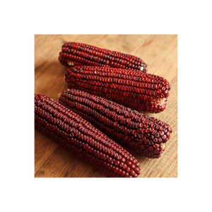 Maïs rouge disponible pour l'exportation en vrac dans le monde entier dans des grades de qualité supérieure - Product Image 6