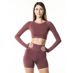 Camiseta de manga larga sin costuras para mujer, 51% de poliamida, 38% de poliéster, 11% de elastano, cuello redondo, corte raglán, otoño - Product Image 1