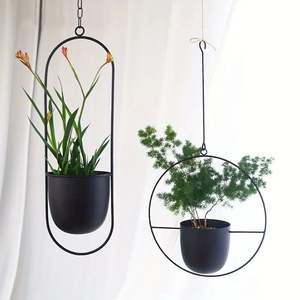 Jardinière suspendue en métal pour l'extérieur, conçue pour résister aux intempéries tout en offrant une belle présentation de plantes suspendues - Product Image 2