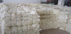 Fibre de sisal de qualité commerciale, fibre naturelle premium pour l'agriculture, la fabrication de cordes, de ficelles, de brosses et de papier, à vendre - Product Image 4