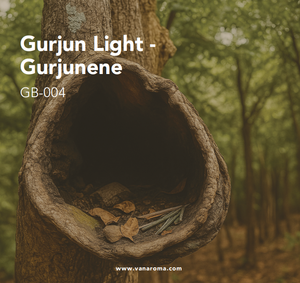 Gurjun Light - Huile aromatique liquide de Gurjunène (GB-004) Van Aroma - Product Image 1