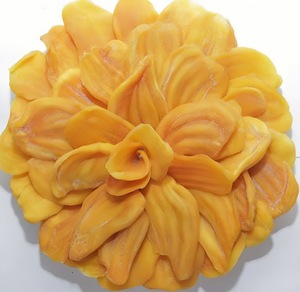 Collation de fruits tropicaux tendres séchés au Vietnam, idéale pour les emballages de vente au détail, l'exportation en vrac et la fourniture de cadeaux - Product Image 2