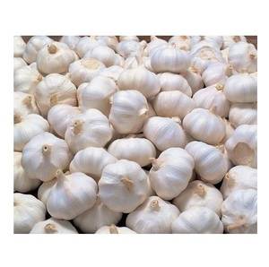 Ail blanc frais biologique à bas prix - Product Image 2