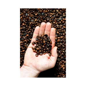 Export grade robusta <b>coffee</b> <b>beans</b> maintained in superior condition for bulk shipment - Product Image 6