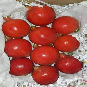 ทับทิมสดผลไม้ที่ดีและกรอบสำหรับห้องครัวของคุณ - Product Image 1