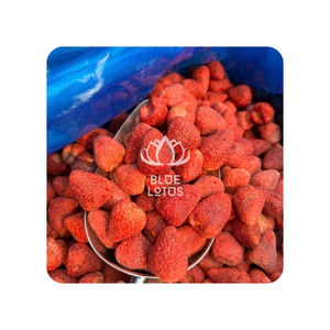 Fresa Deshidratada de Origen Agrícola Puro, TENDENCIA ACTUAL, para Experimentos Creativos en la Cocina y un Snack Energético para Aventuras al Aire Libre - Product Image 1