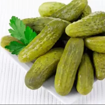 Pickled Baby Cucumber from Vietnam Seasoned with Salt and Dill Pickled Gherkin in Jar or Drum Boats of DILL PICKLES/ Ms. Lima