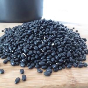 Premium Black <b>Beans</b> Bulk Black <b>Beans</b> Fresh Natural Healthy Organic Top Quality Available For Wholesale - Product Image 1