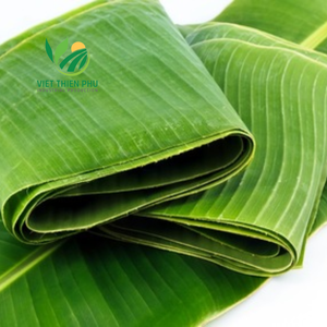 Feuille de bananier congelée du Vietnam Produit agricole Bon prix de gros - Product Image 4