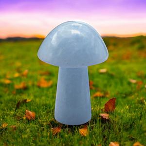 Bleu Calcite Champignon Cristal Naturel Sculpture Pierre De Guérison Mini Pierre Gemme Figurine pour Reiki Énergie Décor À La Maison et Cadeaux - Product Image 4
