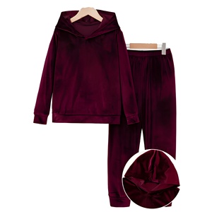 <b>Women's</b> Solid Hooded <b>Tracksuit</b> Full Sleeve Elastic Waist Casual Sportswear Autumn Wear 100% Polyester <b>Velour</b> Material - Product Image 1