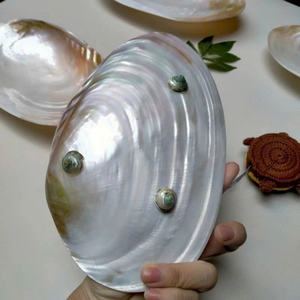 Haute qualité poli coquillage artisanat nacre assiette élégante salle à manger nacre assiette pour servir de la nourriture - Product Image 2