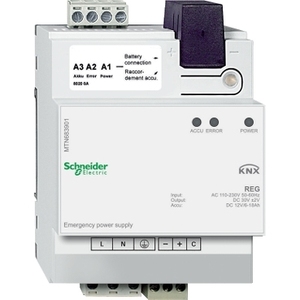 Per inverter e convertitori di alimentazione di emergenza SCHNEIDER ELECTRIC grigio chiaro MTN683901 REG - Product Image 1