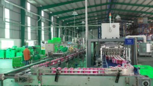 เครื่องดื่มเมล็ดเจีย16.9 2023น้ำซุปข้นผสมเครื่องดื่มค็อกเทล - Product Image 5