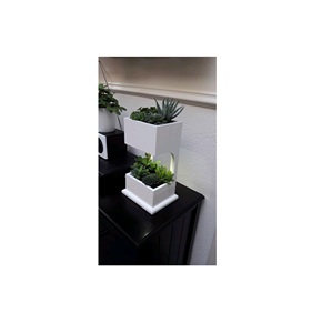 Lo último en macetas decorativas de jardín de forma cuadrada de hierro de Metal minimalista hechas a mano indias, macetas, caja cuadrada, centros comerciales - Product Image 1