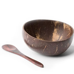 Hot Vintage écologique bois service ensemble haute qualité noix de coco coquille bol fabriqué à la main Vietnam personnalisé pour la décoration - Product Image 1