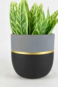 Maceta pequeña de resina hecha a mano, elegante y duradera, ligera, moderna, para interiores, para escritorios y estantes del hogar - Product Image 2