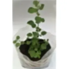 Sac de plantation durable et réutilisable de 10 gallons, pot de culture en feutre respirant et biodégradable pour la croissance des plantes en extérieur, lot de - Product Image 1