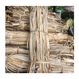 Hyacinthe Vibes: Le charme naturel de la jacinthe d'eau alimente un décor tendance et recherché simple à fabriquer et magnifique en vrac pour l'exportation - Product Image 3