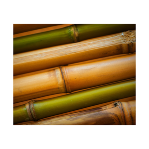 Piquets en bambou écologiques, tubes en bambou pour tomates, haricots, plantes en pot, supports de plantes en bambou pour plantes d'intérieur et d'extérieur - Product Image 1