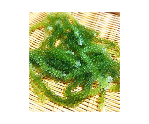 Uva de mar de Vietnam Excellence: Uva de mar deshidratada en grandes cantidades, Premium Fresh con las mejores ofertas para importadores en venta - Product Image 4