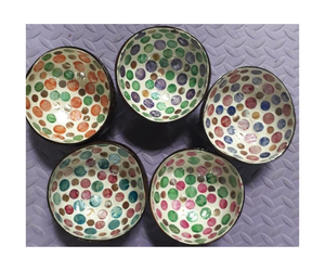 Bol en Coque de Noix de Coco pour Déchets Agricoles, Exportation du Vietnam 2024 - Product Image 1