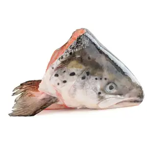 Poisson de saumon de haute qualité filet congelé poisson de saumon de l'Atlantique frais et congelé/saumon entier congelé/tête de saumon à vendre