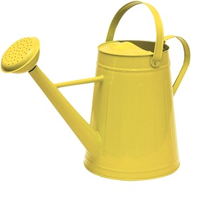 Bidon d'eau écologique en métal pour l'intérieur de la maison Arrosoir de style unique pour la maison Articles de jardin et plantes Arrosoir à usage quotidien - Product Image 6