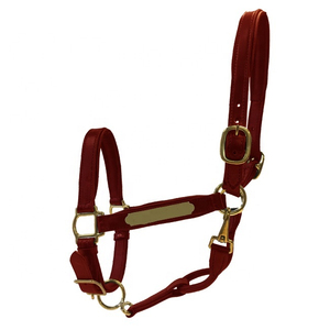 เชือกจูงม้าแบบ Halter ทำจากไนลอนทนทาน พร้อมรายละเอียดหนังแท้และอุปกรณ์เหล็กทองเหลือง - Product Image 5