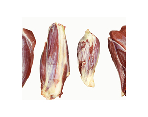 BQF Abats de boeuf-Os congelés dans un tibia de boeuf avec certificat halal Emballage personnalisé Pièce carcasse fabriquée au Brésil - Product Image 1