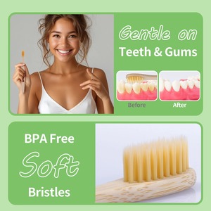 Vente en gros 100% Brosse à dents en bambou pour hôtel avec manche en bois de bambou naturel biodégradable - Product Image 3