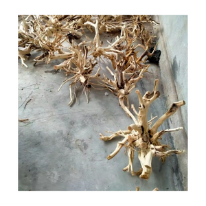 MADERA DE CORAL NATURAL TIPO DIVERSO DE VIET NAM A PRECIO ASEQUIBLE - Product Image 6