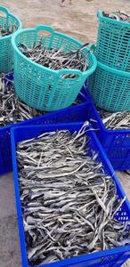 บาซาเนื้อแช่แข็งอาหารด่วนรับประกันโภชนาการเต็มรูปแบบ | ทำในเวียดนาม - Product Image 3