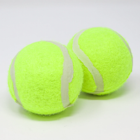 Mükemmel Kalite Hafif Yumuşak Kauçuk Kişiselleştirilmiş Tenis Topu Çeşitli Renkler ve Boyutlar Profesyonel Tenis Antrenmanı Gençler İçin