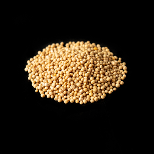 Auténticas semillas de mostaza amarilla perfectas para encurtidos y currys - Product Image 6