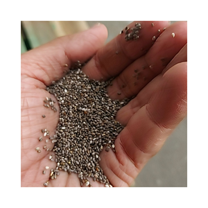 Premier fournisseur d'épices simples naturelles hautement nutritives de qualité Graines de chia sèches au prix de gros de haute qualité - Product Image 3