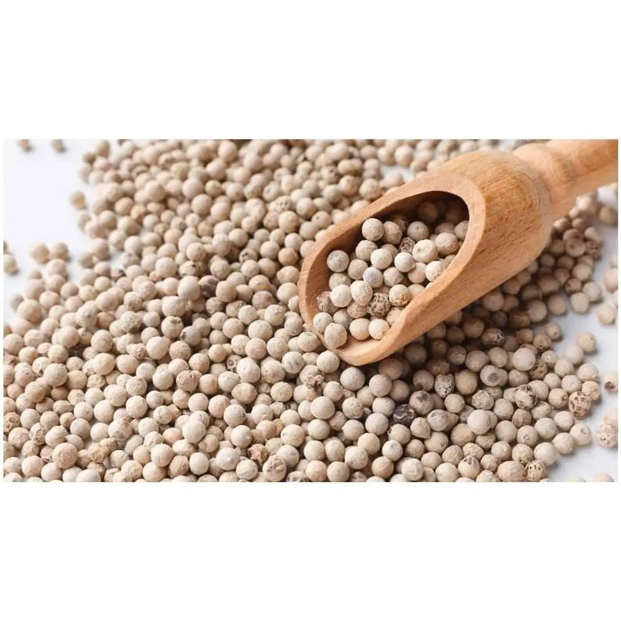Wholesale Natural In Bulk White Pepper Whole Dried Round Chinese Hainan White Peppercorns