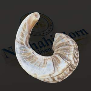 Golosinas para masticar de cuerno de carnero natural de primera calidad para perros-Artesanía de estilo animal pulido más vendida por Nhe Overseas - Product Image 4