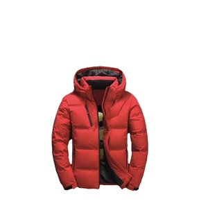 Veste d'hiver décontractée pour homme, nouveau design, épaisse, chaude, respirante, matelassée avec fermeture éclair, coupe ajustée, logo sur le devant, 2026 - Product Image 3