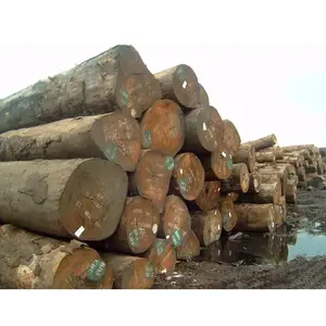 Tronchi di legno Pyinkado originali dal Laos prezzo economico