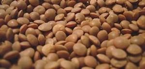 Lentilles noires naturelles séchées en granulés, sans pesticide, qualité 1 pour la consommation humaine, emballage en vrac d'Égypte - Product Image 3