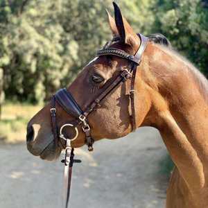 Brida de caballo de cuero genuino colorido de lujo en la India - Product Image 4