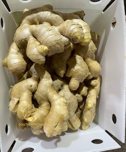 Tươi Rửa Cũ Vàng Gừng Chất Lượng Cao Kích Thước Lớn 200G Cho Chúng Tôi, Trung Đông Thị Trường Mới Thu Hoạch Bán Buôn Từ Việt Nam Nhà Máy - Product Image 4