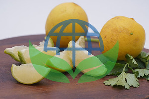 Frutos de Coco Orgánico Congelado HP Valia de Buena Calidad, 100% Congelado, para Bebidas, Uso Culinario y Aplicaciones Saludables, 100 kg - Product Image 2