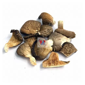 Nutrientes ricos Seta de ostra seca/Seta seca de Vietnam Producto de alta calidad - Product Image 3