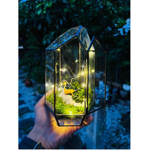 Superior Best Quality Brass Border Gold Finished Clear <b>Glass</b> Tabletop Decoration <b>Terrarium</b> Garden Decoration Centerpiece Usage - Product Image 5